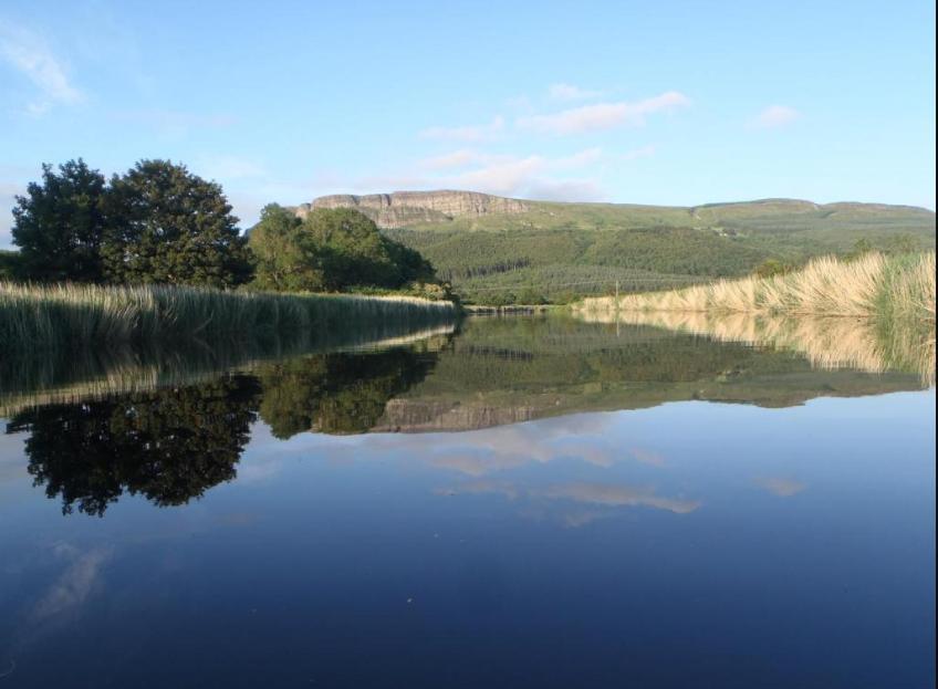 Ballyhenry House And Apartments Limavady Εξωτερικό φωτογραφία